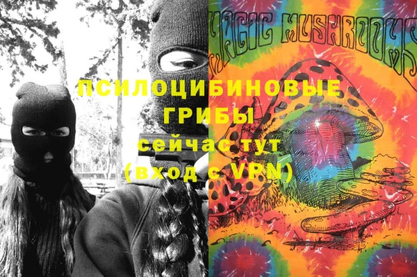 дмт Арсеньев