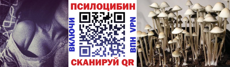 Псилоцибиновые грибы MAGIC MUSHROOMS  Протвино 