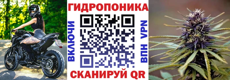 Шишки марихуана ГИДРОПОН  купить закладку  Протвино 
